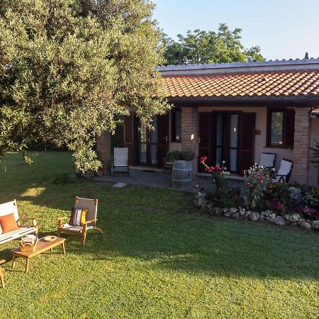 Agriturismo Lillastro Braccagni Ngoại thất bức ảnh