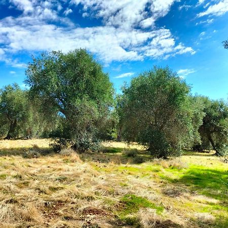 Agriturismo Lillastro Braccagni Ngoại thất bức ảnh