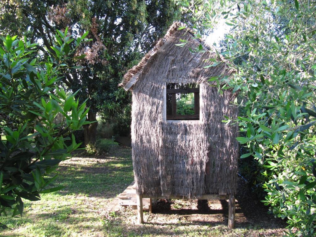 Agriturismo Lillastro Braccagni Ngoại thất bức ảnh